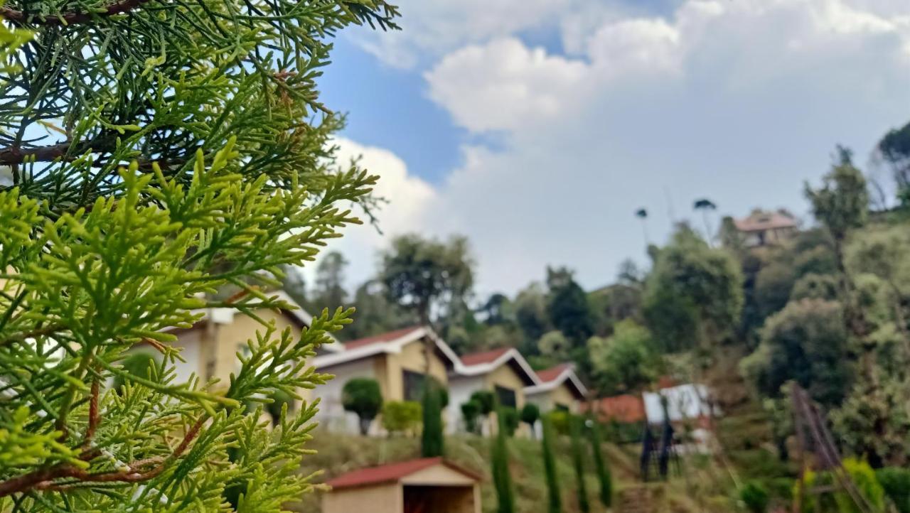 Skywood Resort Shoghi Shogi Buitenkant foto